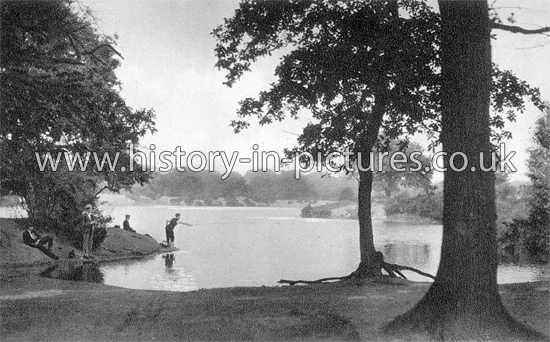 Hollow Ponds, Walthamstow, London. c.1910's.